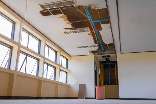 Best 24-hour water damage restoration  in Watchung, NJ