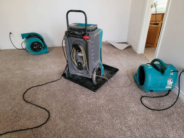 Best Local water damage restoration  in Watchung, NJ