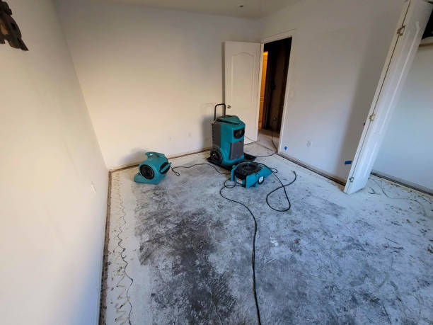 Best Water damage cleanup near me  in Watchung, NJ