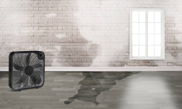 Best Residential water damage restoration  in Watchung, NJ