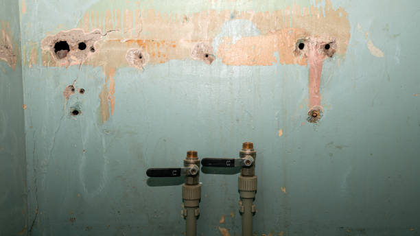 Best Commercial water damage restoration  in Watchung, NJ