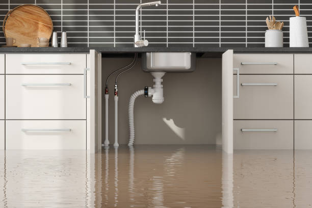 Best Water damage cleanup near me  in Watchung, NJ