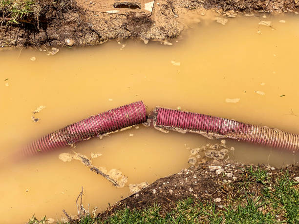  Watchung, NJ Water damage restoration Pros