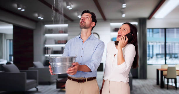Best Sewage cleanup and water damage restoration  in Watchung, NJ
