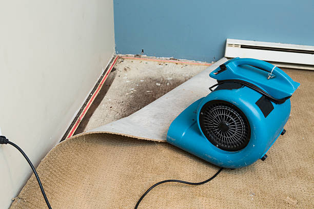 Best 24/7 water damage repair  in Watchung, NJ